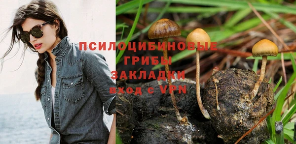 Альфа ПВП Абдулино