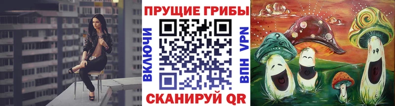 дарнет шоп Алапаевск Галлюциногенные грибы ЛСД